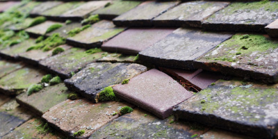 Nash Lee roof repair costs
